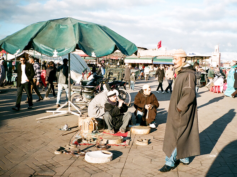 elicornejo Shortcut Profit Serpents Flute Marrakesh