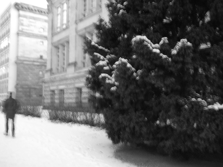 elicornejo Silence Berlin TU snow 2009